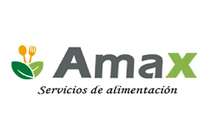 Grupo Amax Chile